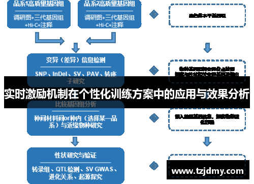 实时激励机制在个性化训练方案中的应用与效果分析